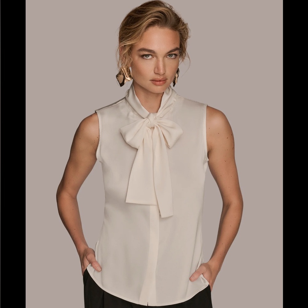 ❤️‍🔥MEDIUM Sheer Sleeveless Blouse with Bow- EUC- GUC - AS IS